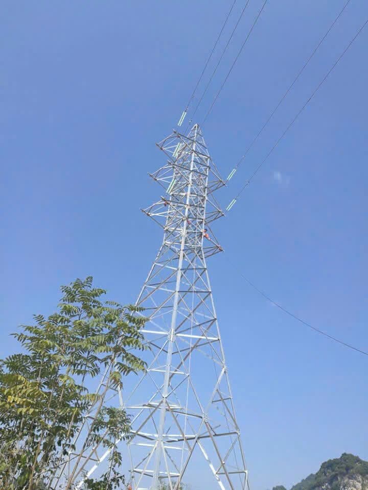 Điện sinh khối